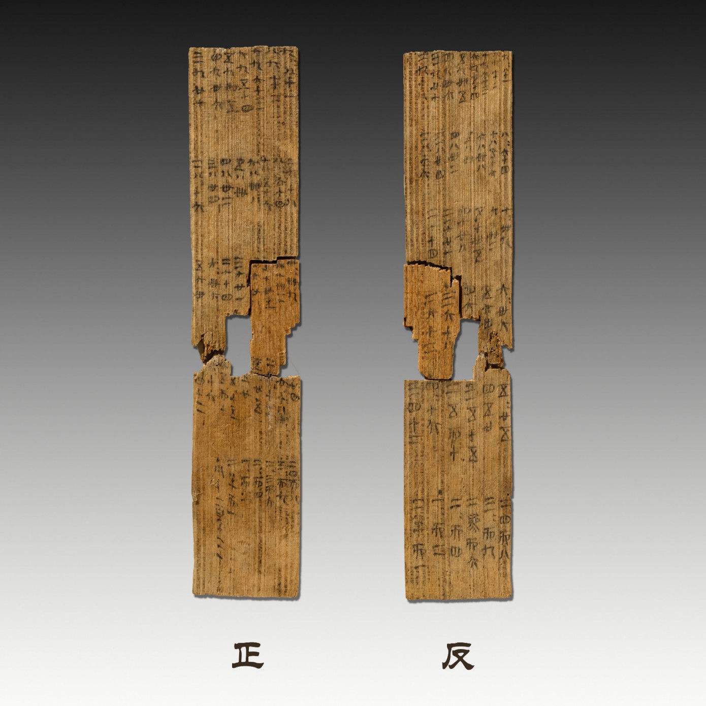 書籍的誕生：有典有冊