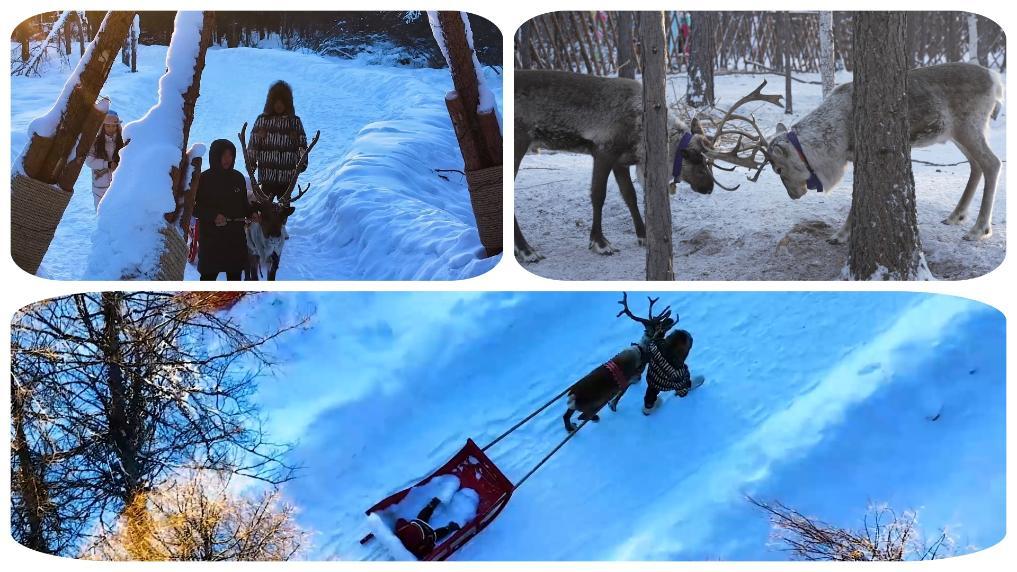 1751100985901539.jpg 2.jpg