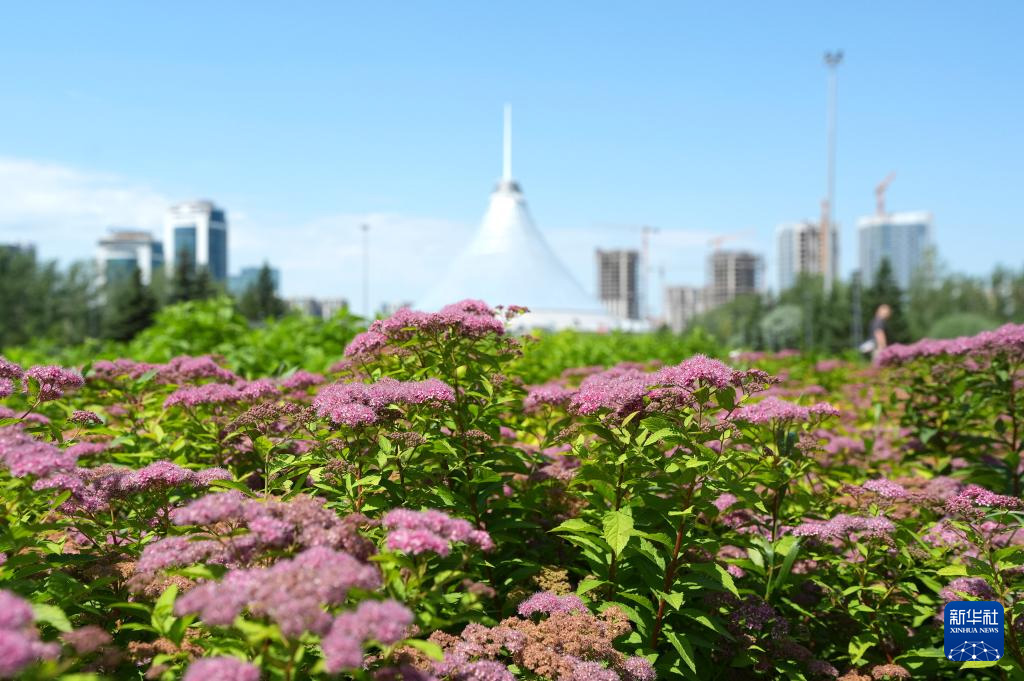 1751418923195906.jpg 1.jpg