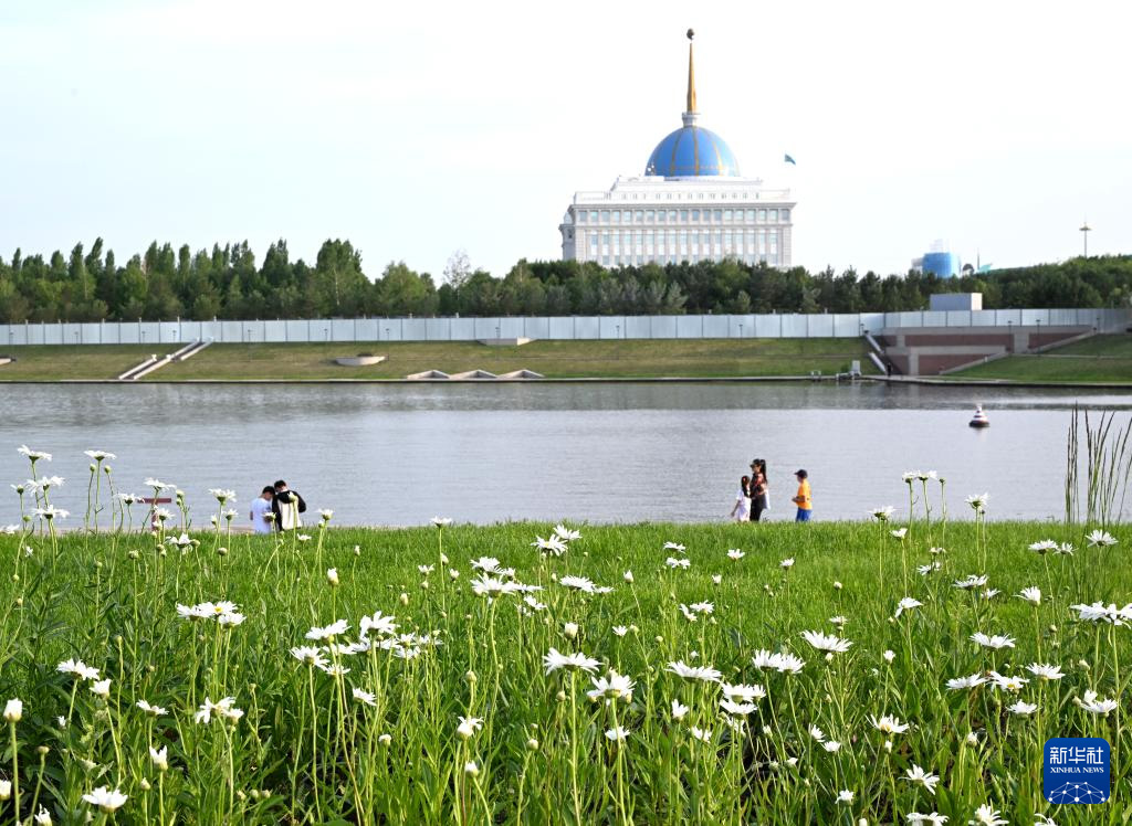 1751419385636873.jpg 8.jpg