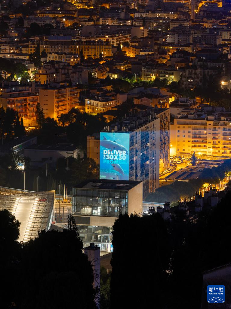 1751421666748546.jpg 6.jpg