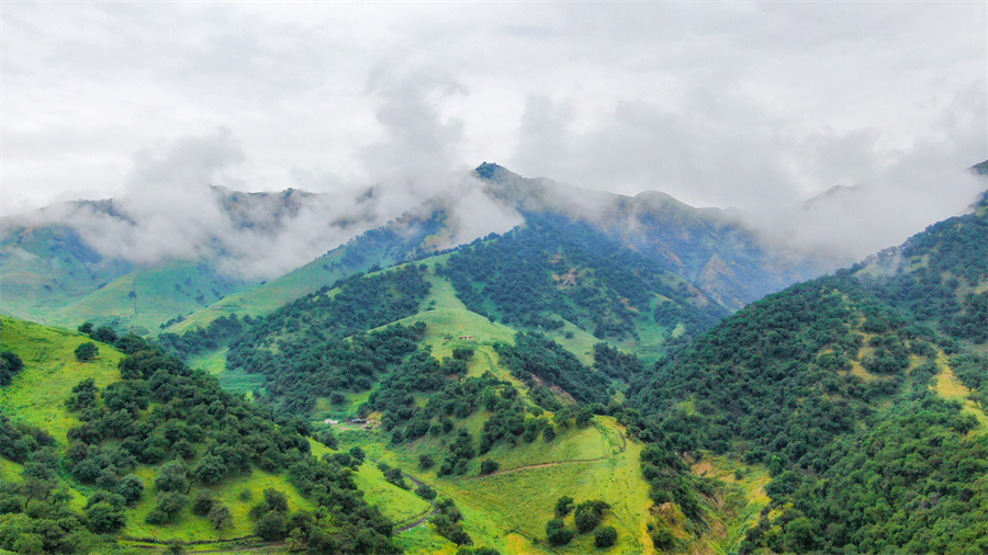 1752568367733671.jpeg 6.jpeg