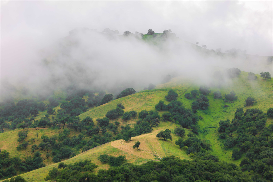 1752568445165036.jpeg 7.jpeg