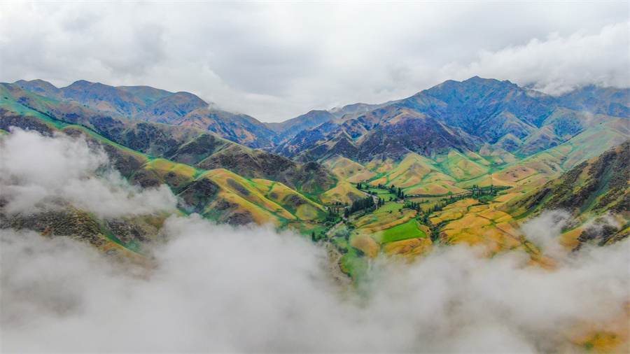 1752568514532584.jpeg 8.jpeg