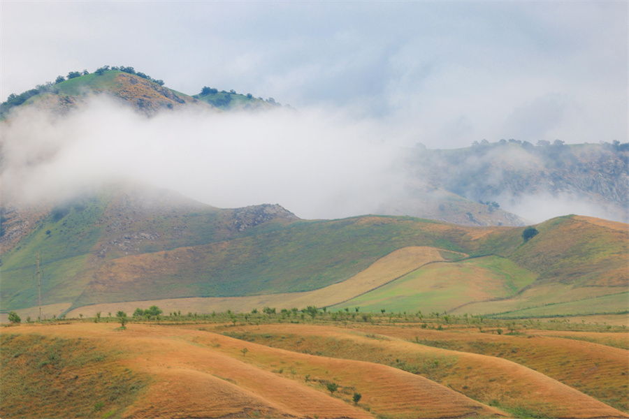 1752568533850638.jpeg 9.jpeg