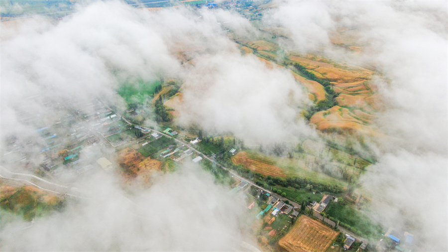 1752568544798850.jpeg 10.jpeg