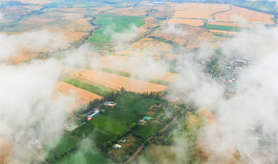 1752568554632971.jpeg 11.jpeg