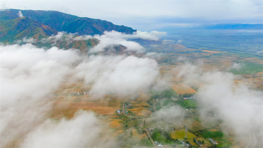 1752568568120037.jpeg 12.jpeg