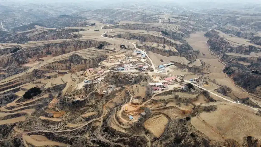 1752574727223359.jpg 10000.jpg