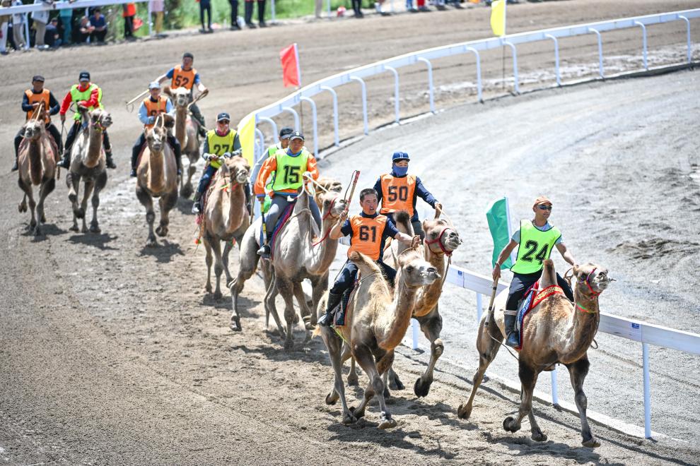 1753669653893851.jpg 10.jpg