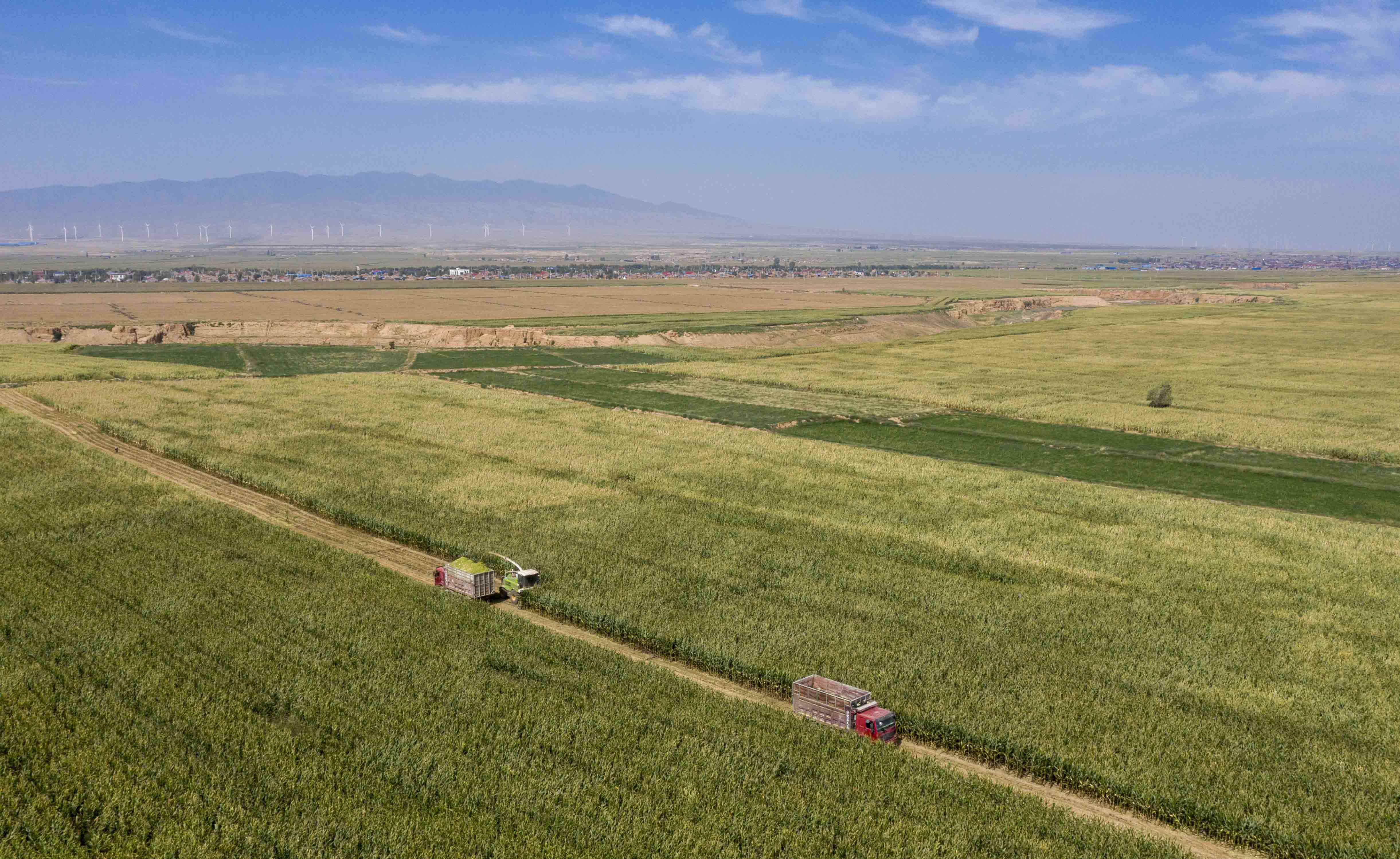 1753865527579476.jpg 32.jpg