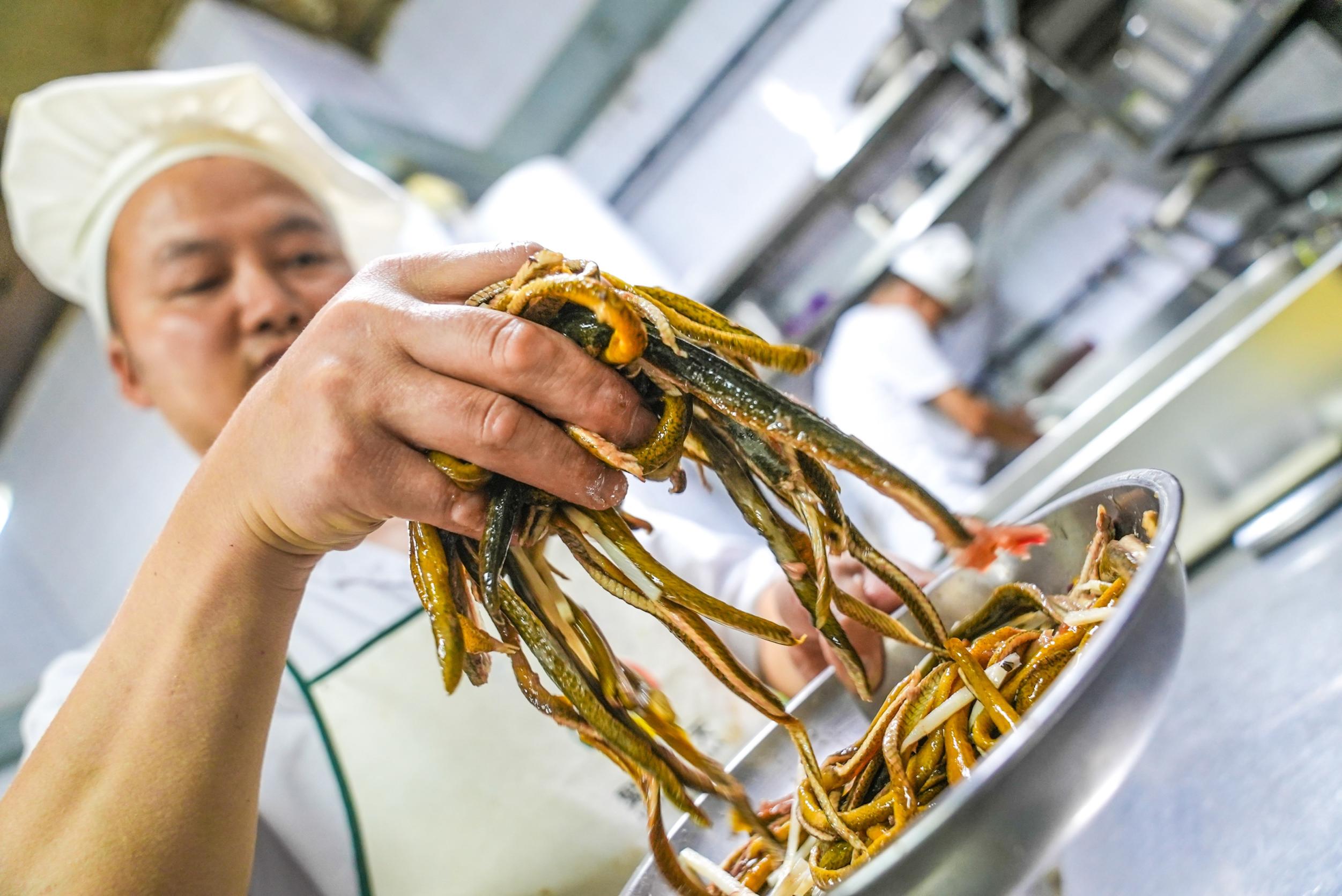 1753952875392546.jpg 555.jpg