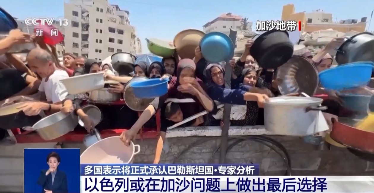 1754095856810564.jpg 1.jpg