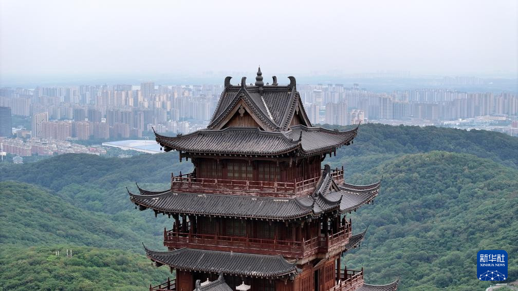 1754614427105205.jpg 3.jpg