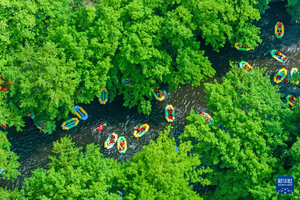 1754614717534768.jpg 5.jpg