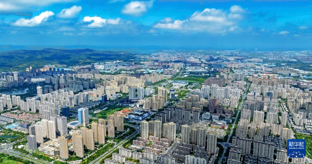 1754614817170205.jpg 6.jpg