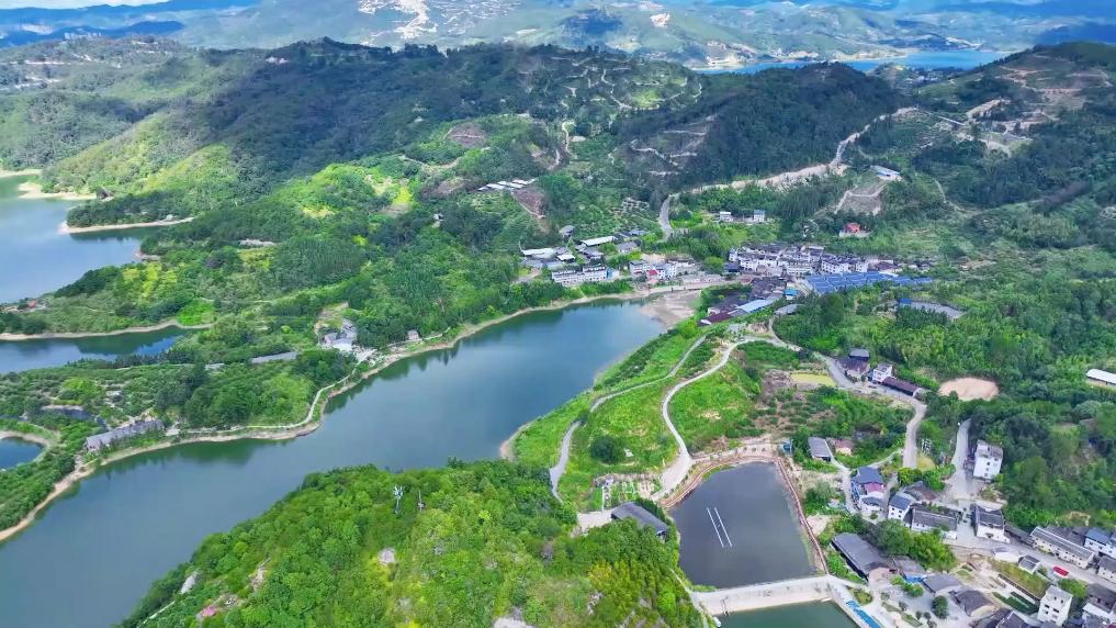 1754726310843677.jpg 3.jpg