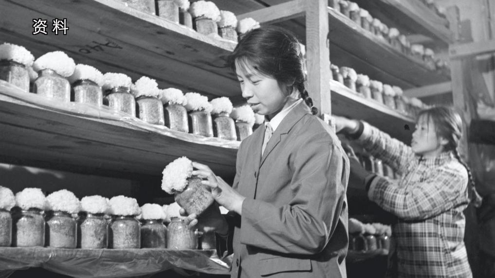 1754726595726645.jpg 4.jpg