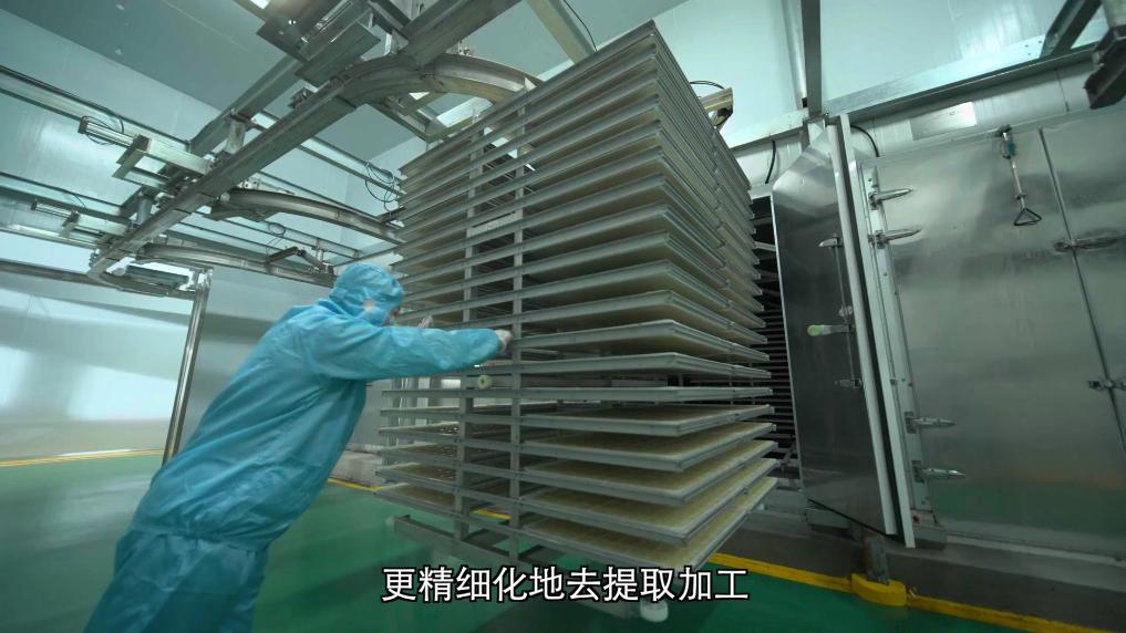 1754727413617131.jpg 9.jpg