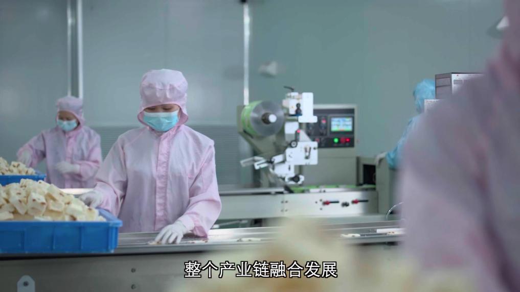 1754727469537724.jpg 10.jpg