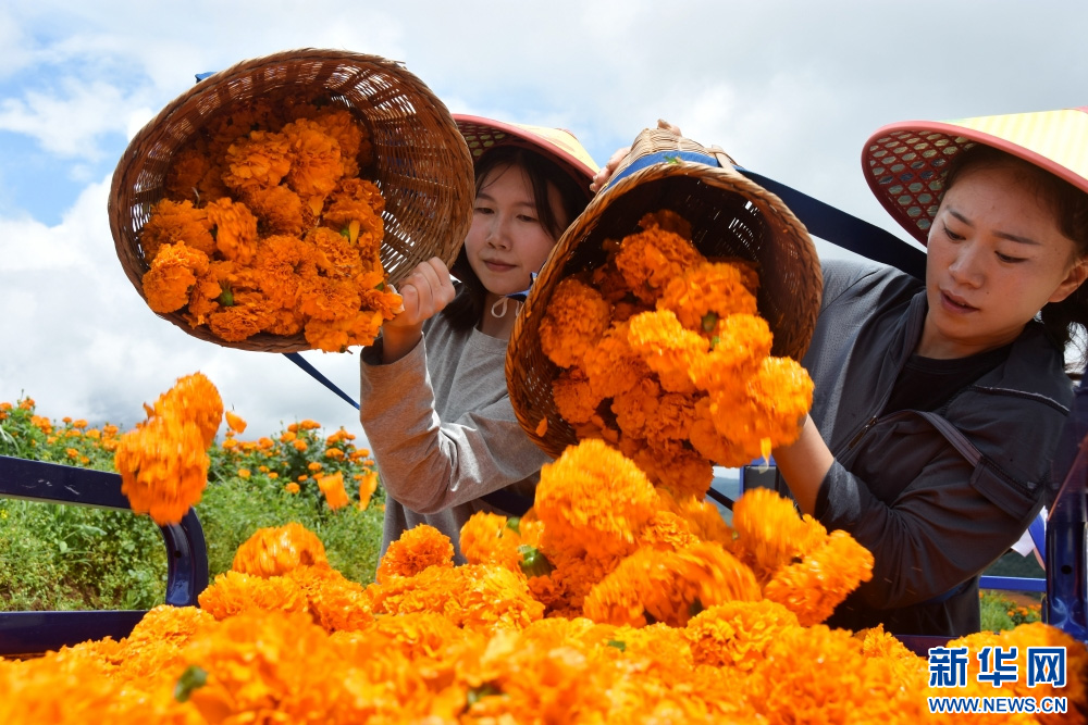 1754988408826494.jpg 7.jpg