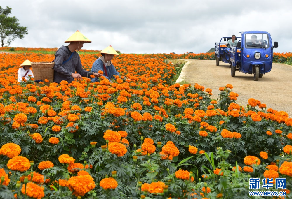 1754988604877680.jpg 2.2.jpg