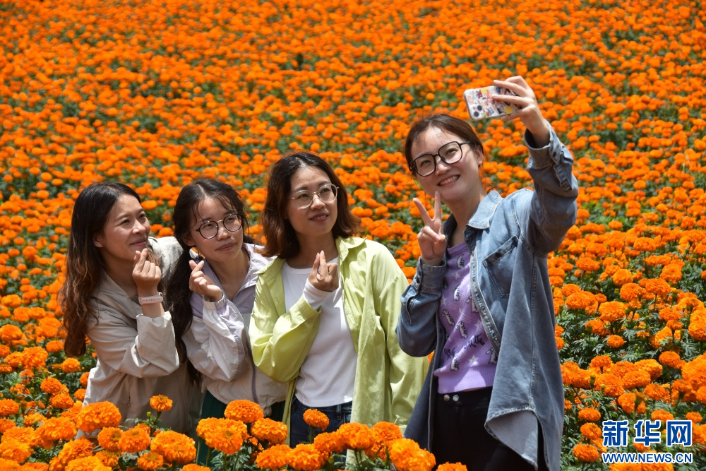 1754988696550657.jpg 1.2220.jpg