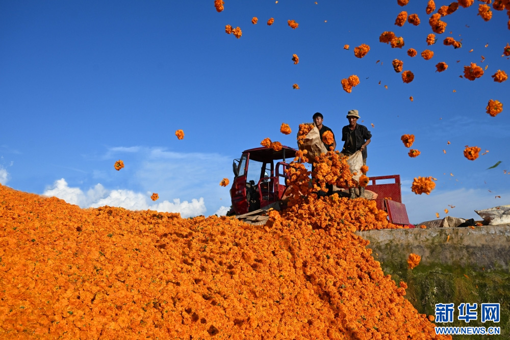 1754988849354796.jpg 3.220202.jpg