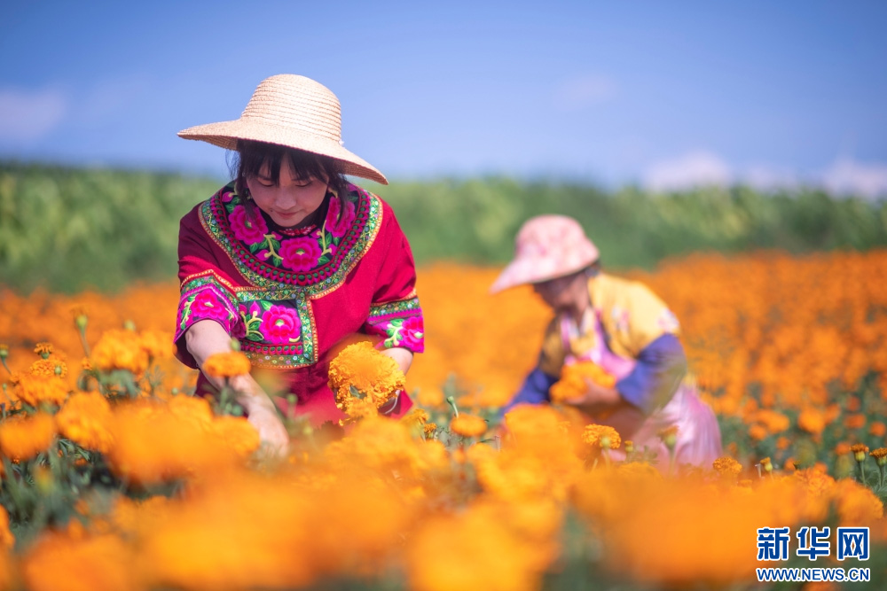 1754988925965272.jpg 424220.jpg