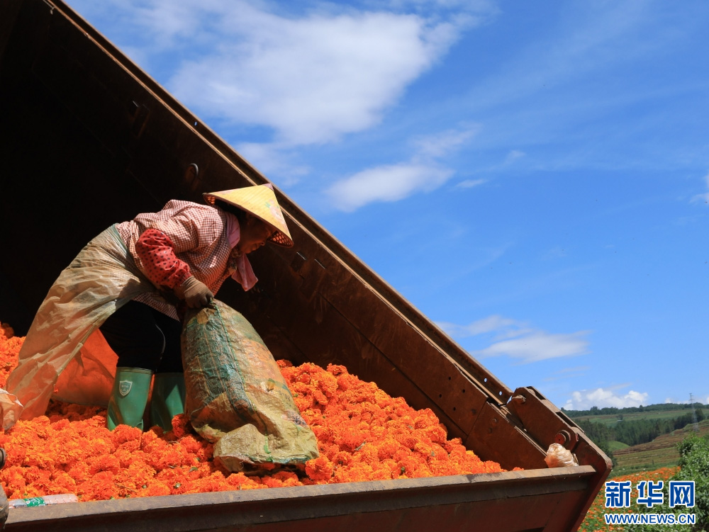 1754989405562079.jpg 8222.jpg