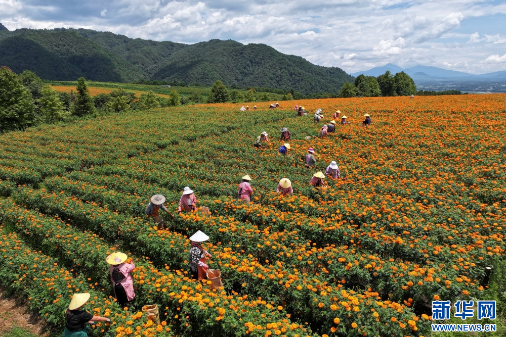 1754989473917912.jpg 929391】.jpg