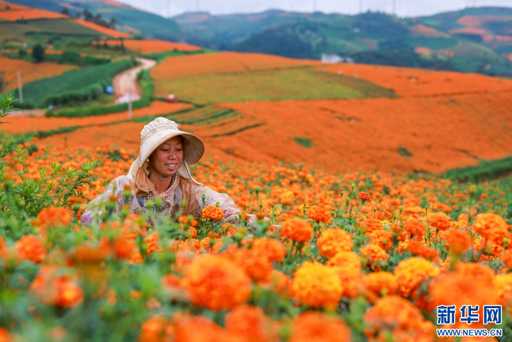 1754989633352457.jpg 2120202.jpg