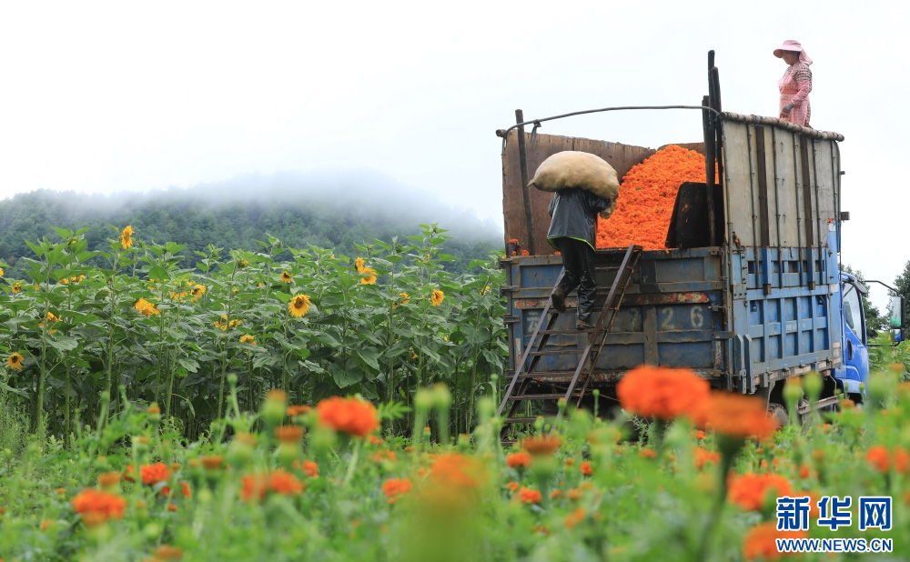 1754989728353791.jpg 303333.2.2.jpg