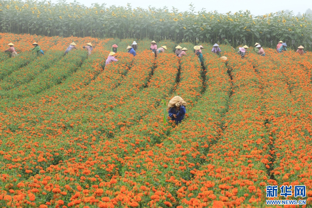 1754989858676886.jpg 11.22.jpg