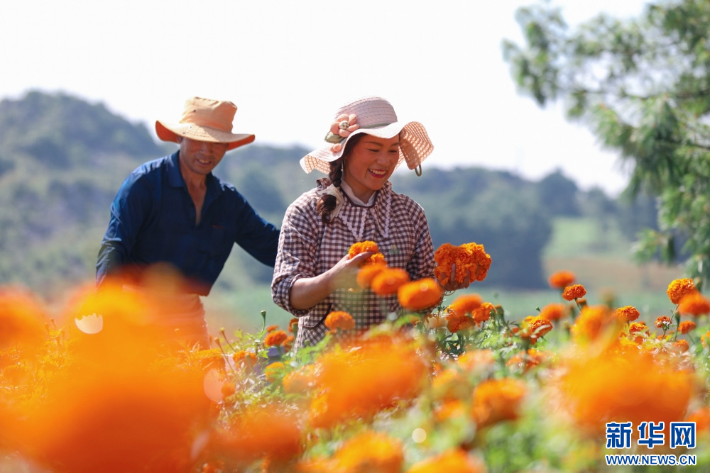 1754989929665788.jpg 22.jpg