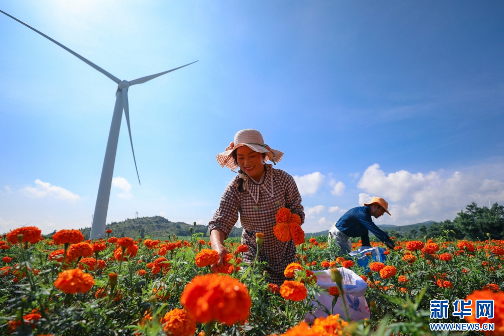 1754990114406125.jpg 44.jpg