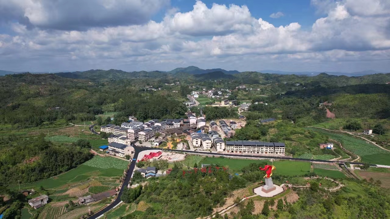 1755225738560313.jpg 40.jpg