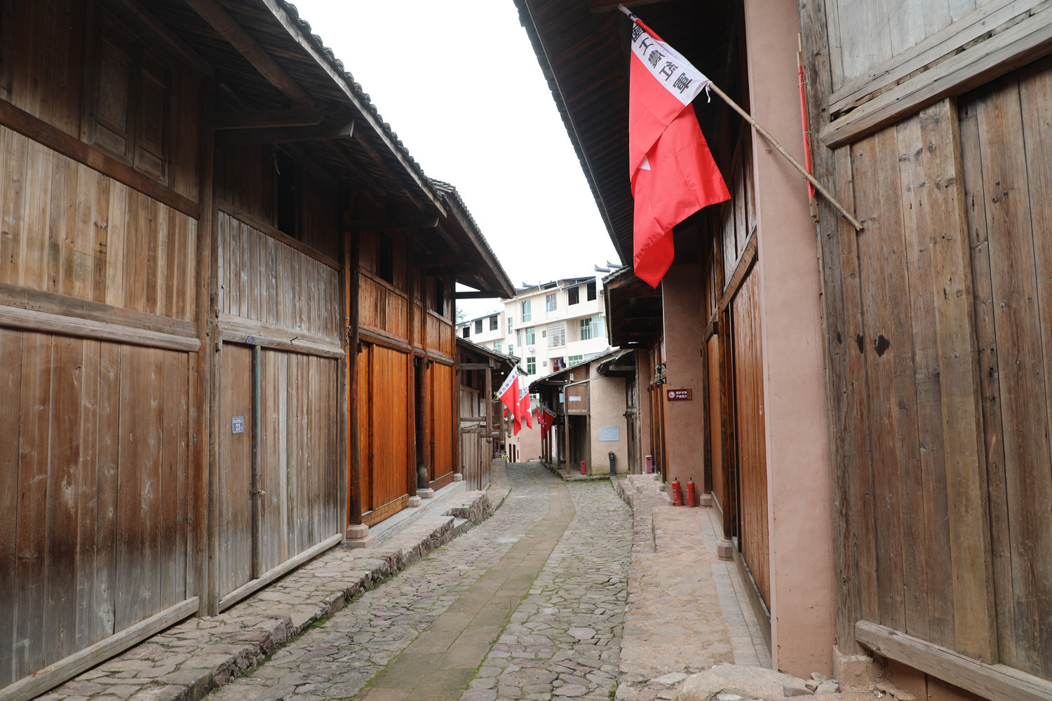 1755225845564135.jpg 42.jpg