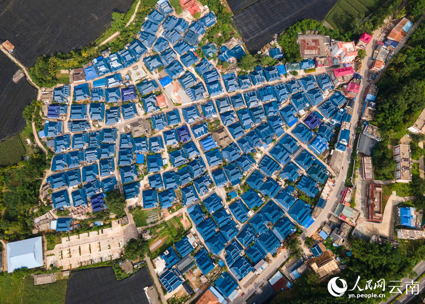 1755510025311208.jpg 6.jpg