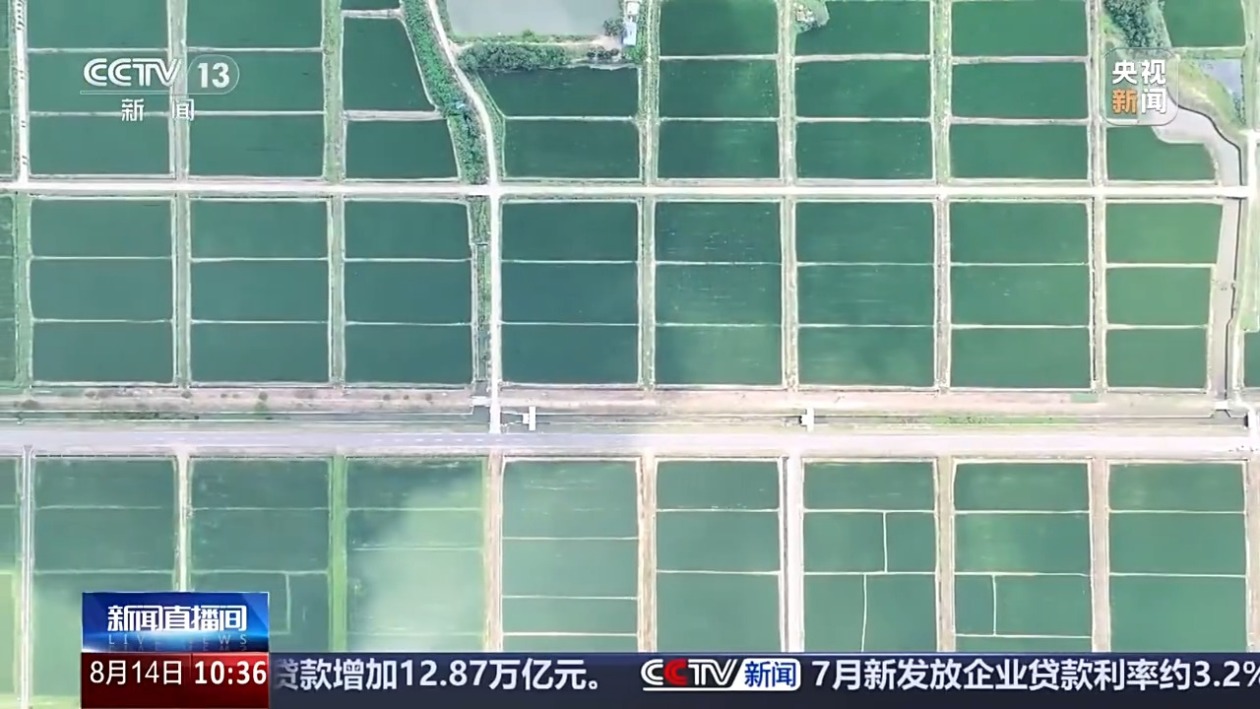 1755565245842585.jpeg 6.jpeg