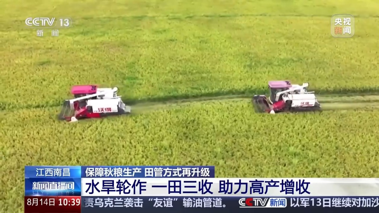 1755565622343999.jpeg 7.jpeg