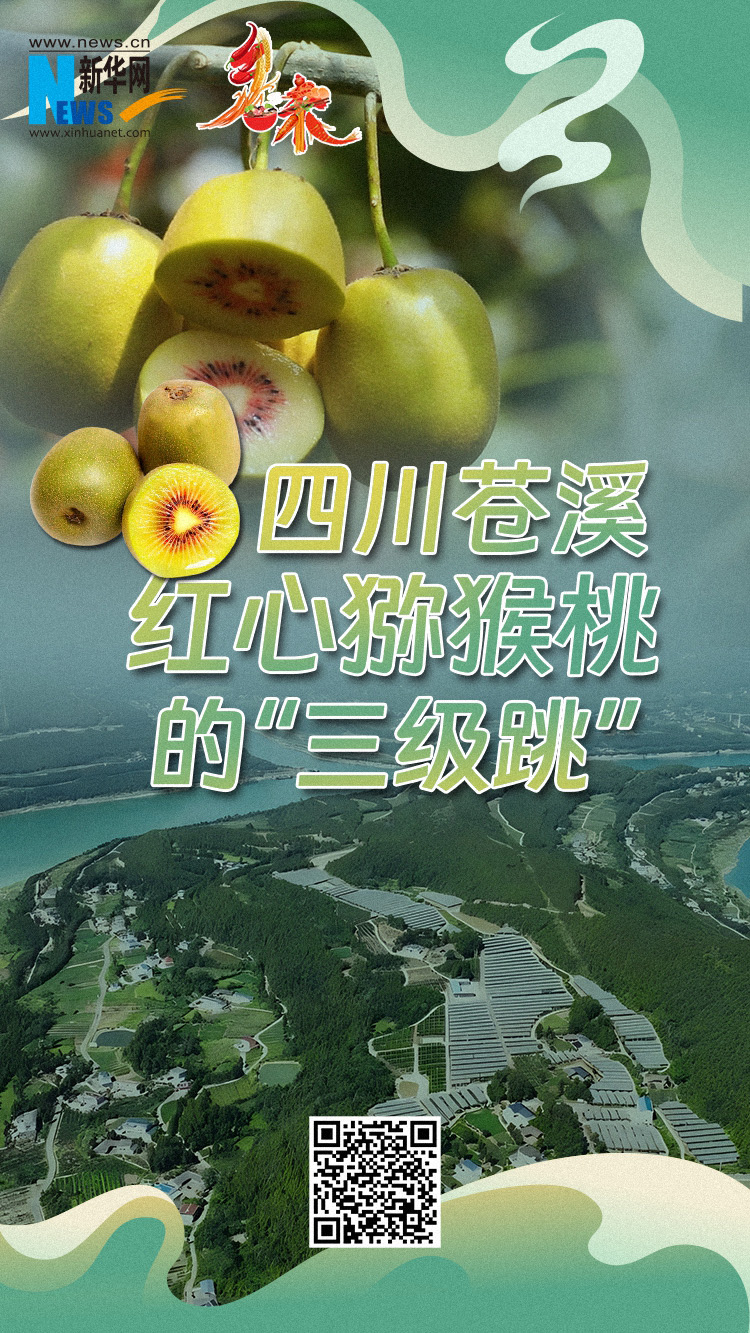 1755764491174104.jpg 6.jpg