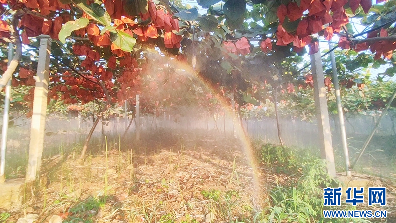 1755764591893975.jpg 7.jpg