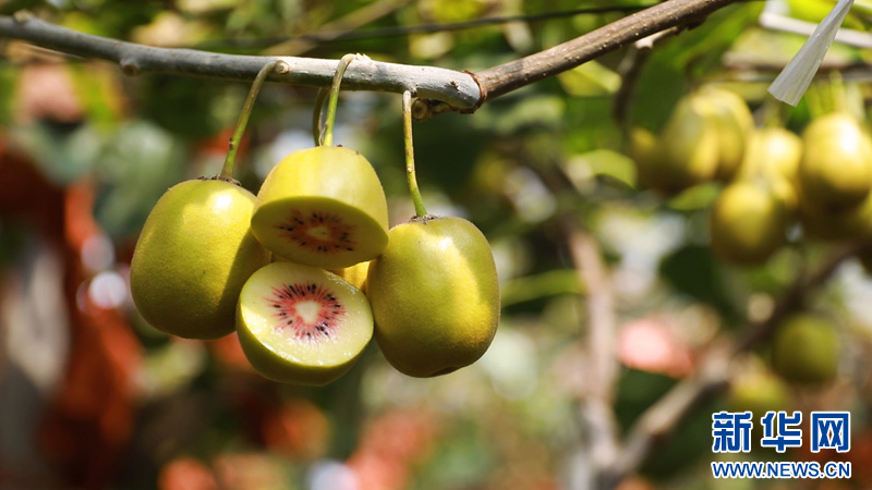 1755765011358242.jpg 9.1.jpg