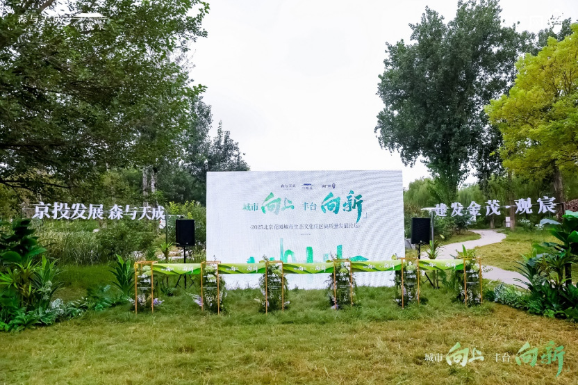 1755826167387621.jpg 777.jpg