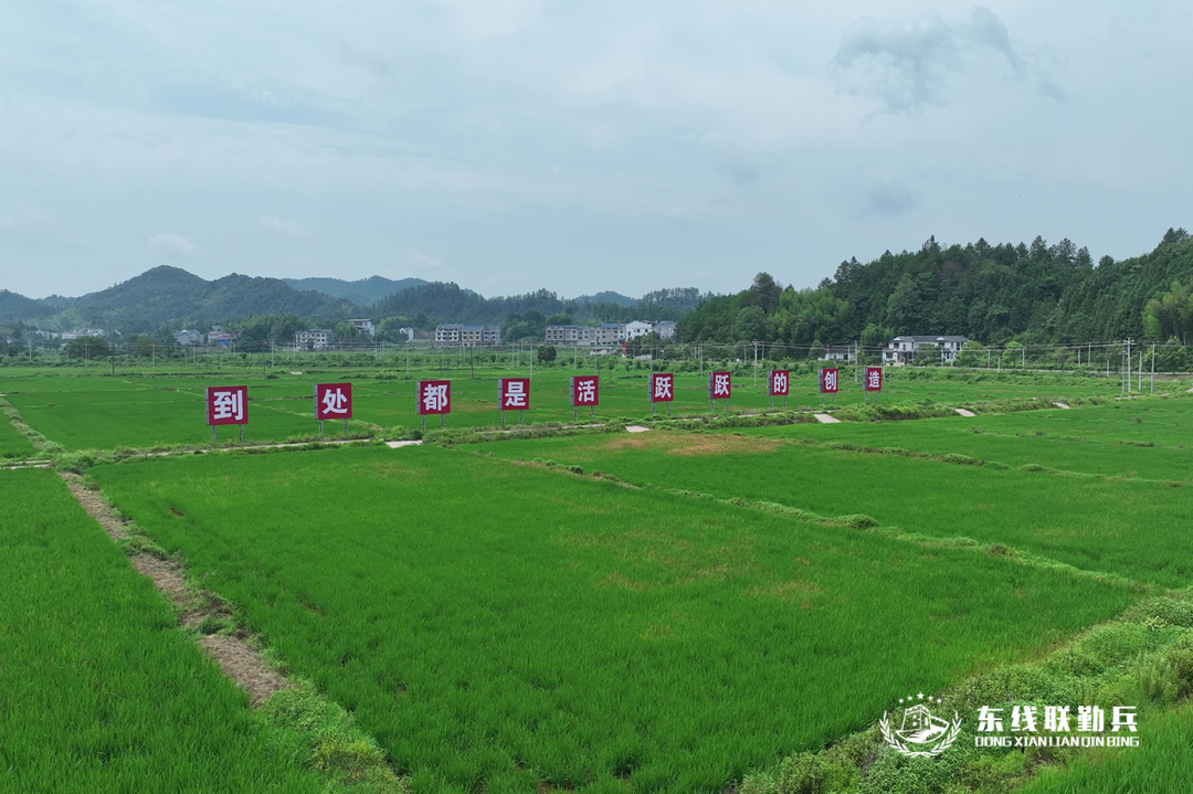 1755912407317504.jpg 19.1.jpg