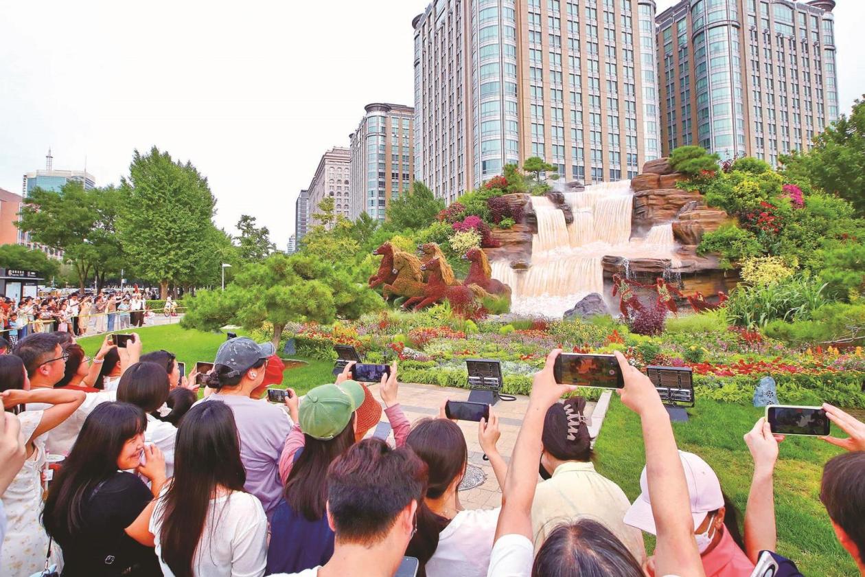 1756870845457555.jpg 65.jpg