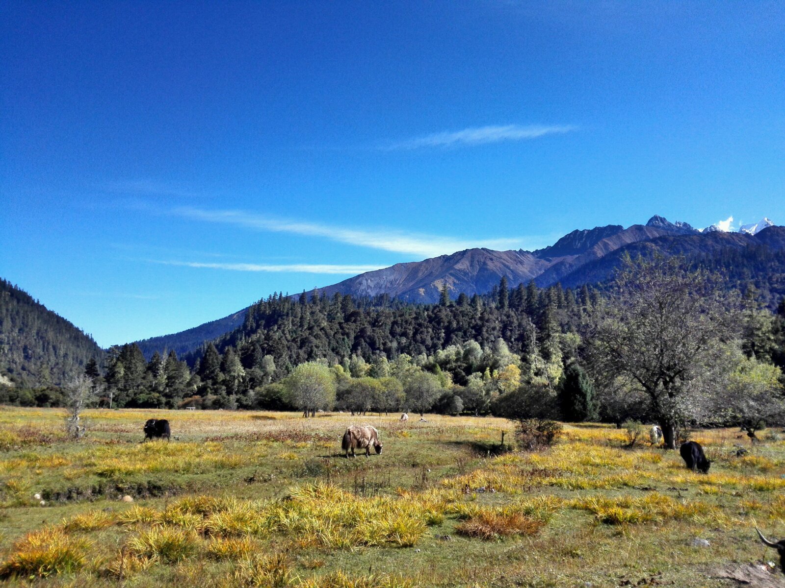 1756970096505755.jpg 旅游.jpg