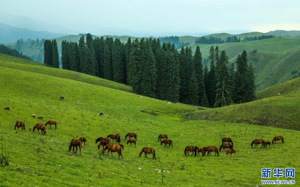 1757033330122330.jpg 1.jpg