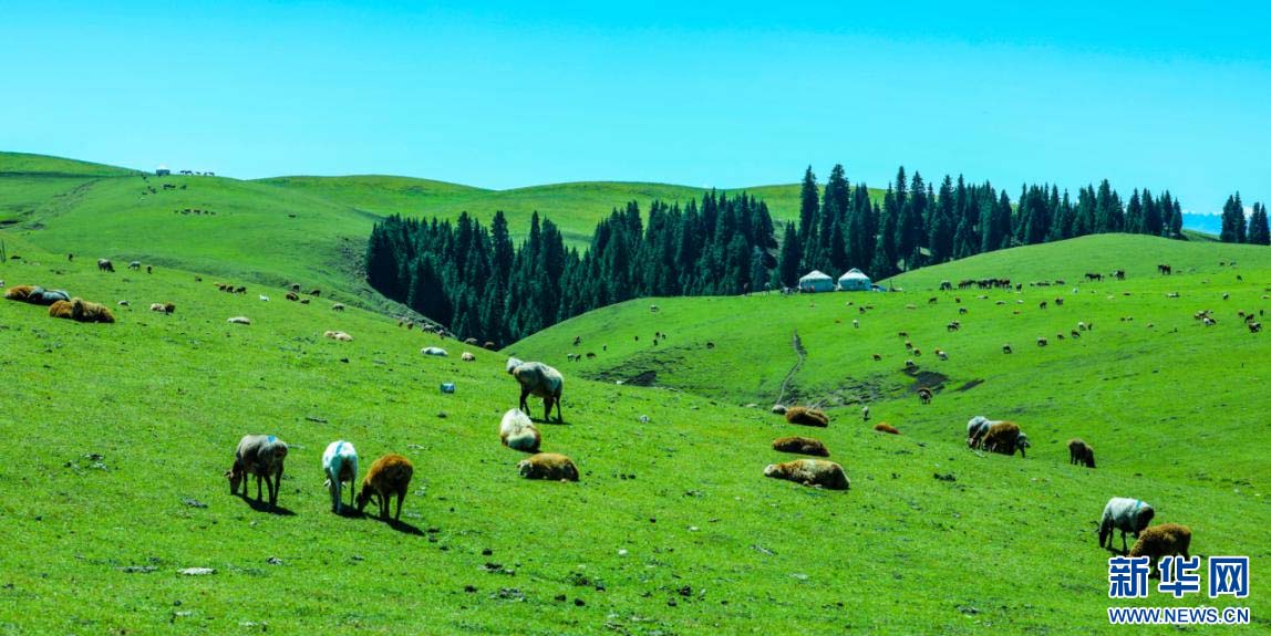 1757033345330153.jpg 4.jpg